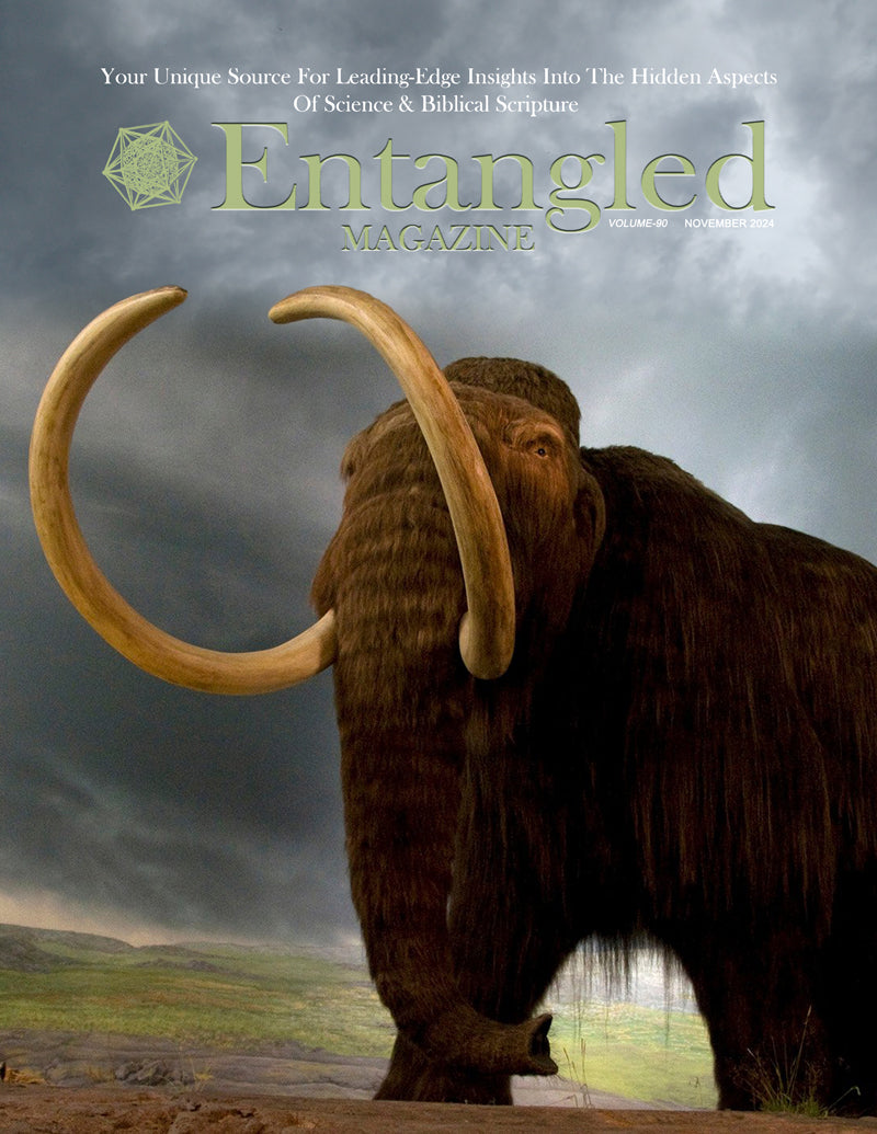 'Entangled' e-Magazine Subscription PDF (Yearly)