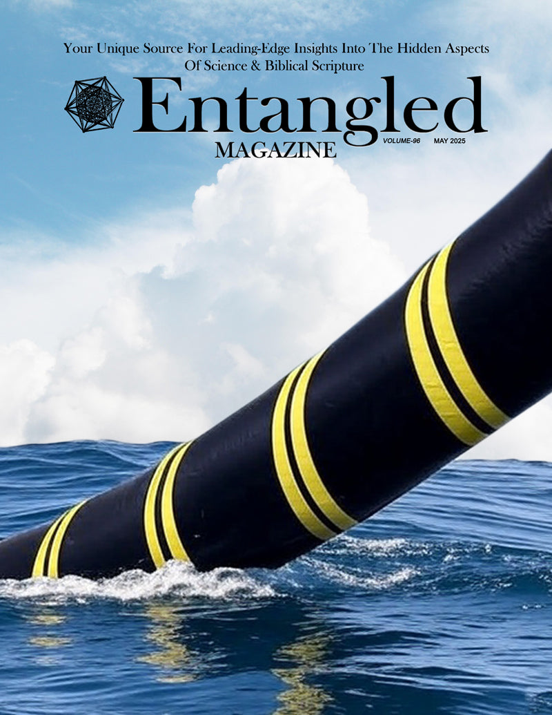 'Entangled' e-Magazine Subscription PDF (Yearly)